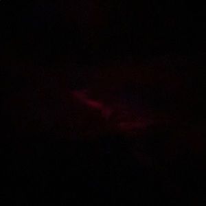 Meet your Posher, Jayden